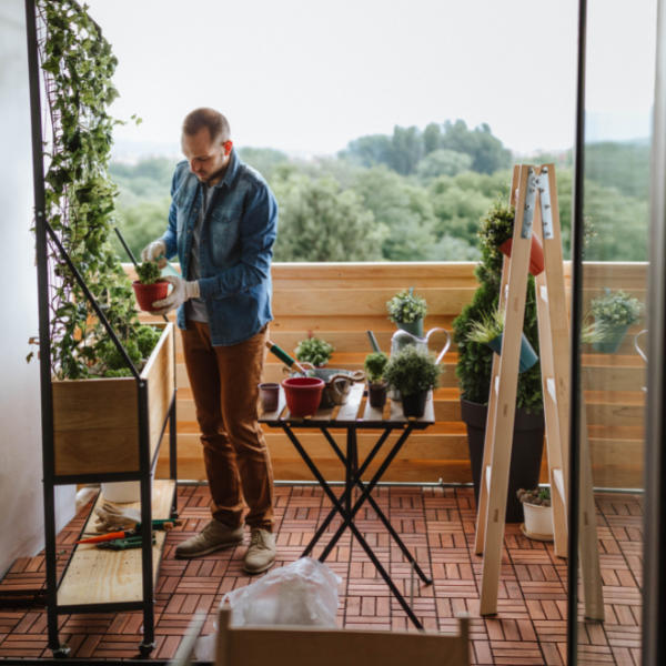 איך להפוך את המרפסת שלכם לגינה בעזרת עציצים למרפסת